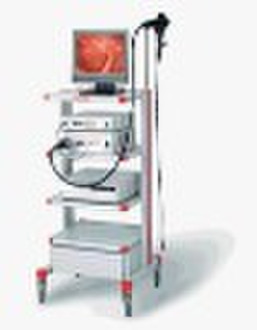 video endoscope