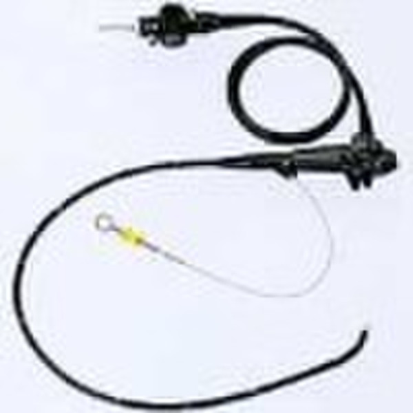 video gastroscope