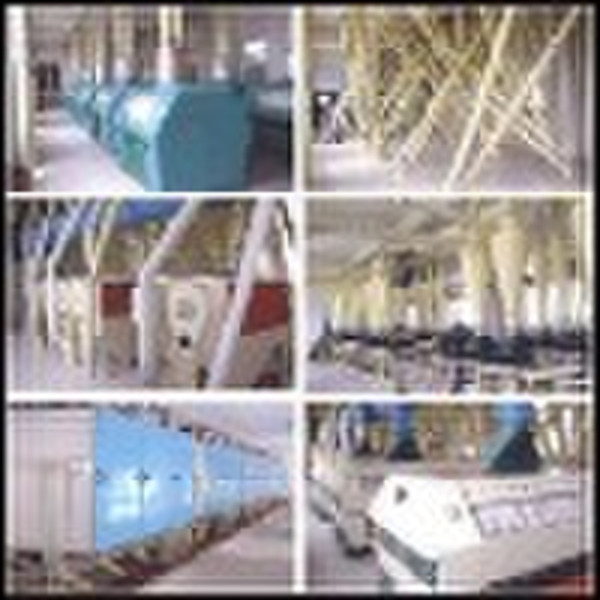 complete size wheat flour machine