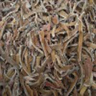 Gefrorene Black Fungus Strips