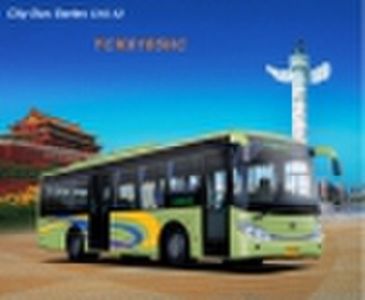 10m Stadtbus, Linienbus, Service Bus und fahrplan