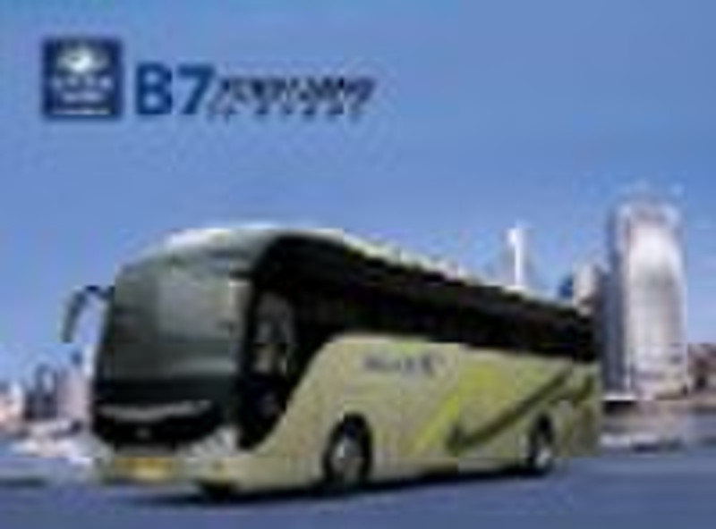Busse / Reisebusse / Fahrzeug
