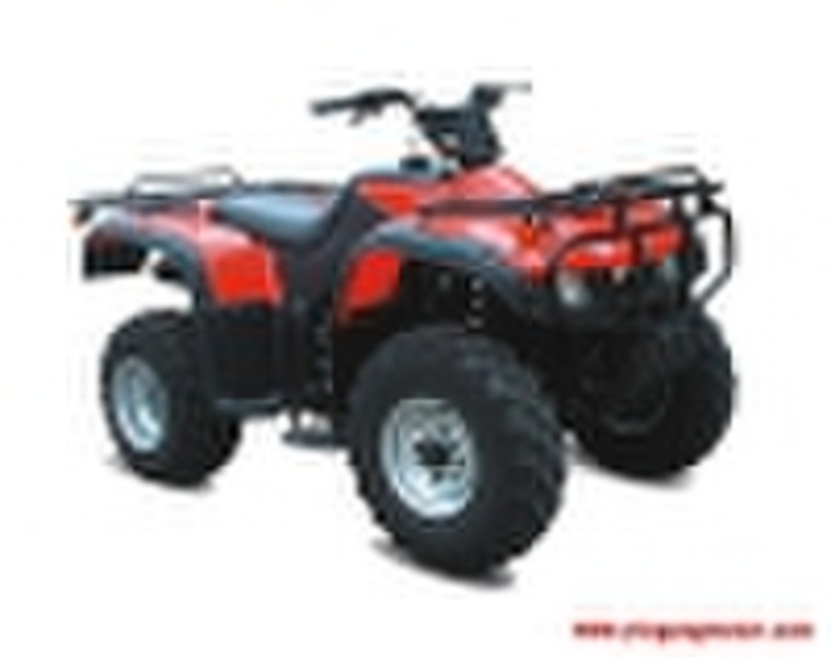 ATV Motorrad (YG250ATV-5S)