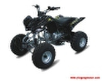 ATV (YG110ATV)