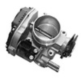 Throttle Body/Throttle Valve