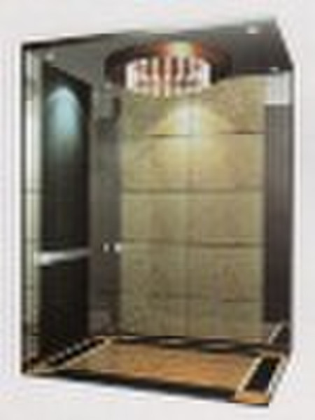 Nice  & Cheap  Passenger lift /Elevator