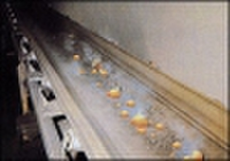 Heat Resistant conveyor belt