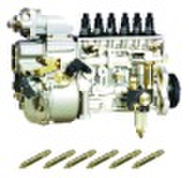 Fuel Injection Pump