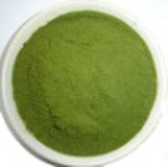 Wheat Grass Powder