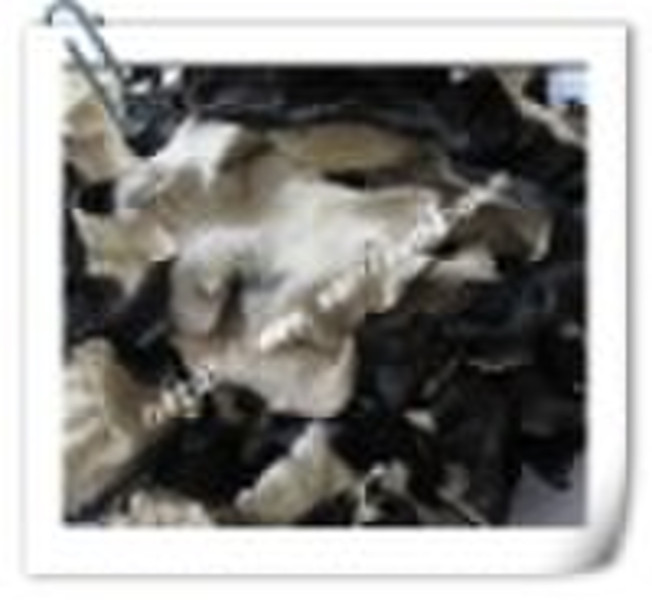 Dry Black Fungus