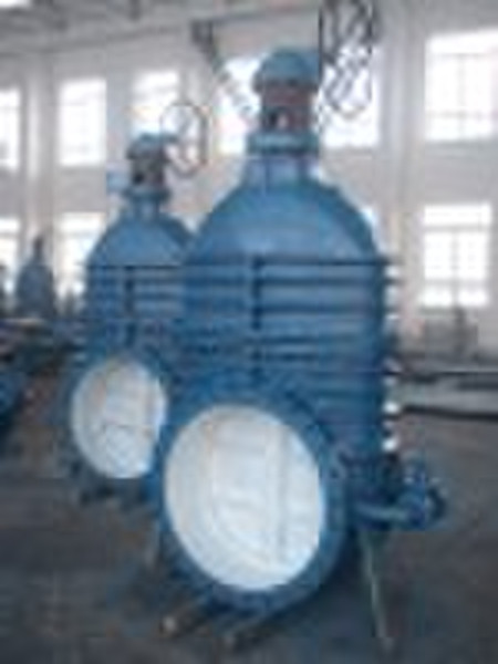 gate valve