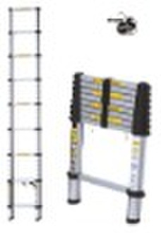 Telesteps Ladder