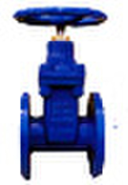 Din 3352-F4/F5 gate valve