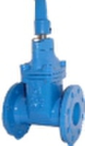 Iron gate valve. flanged end non rising stem