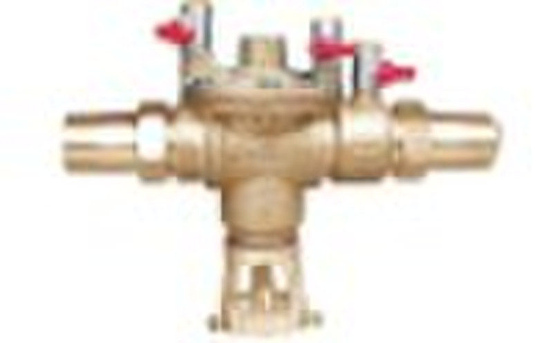 Backflow preventer