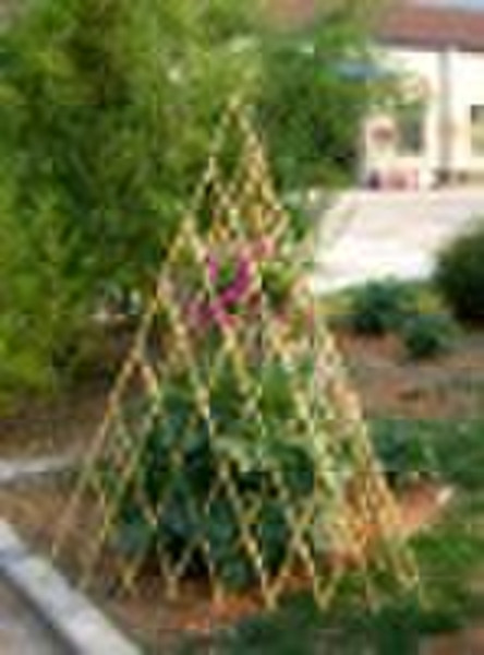 bamboo trellis