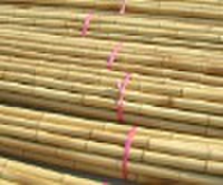 Natürliche Bambusstab