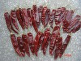 Jinta red chilli