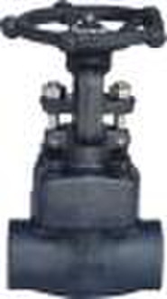 gate valve thread end A105