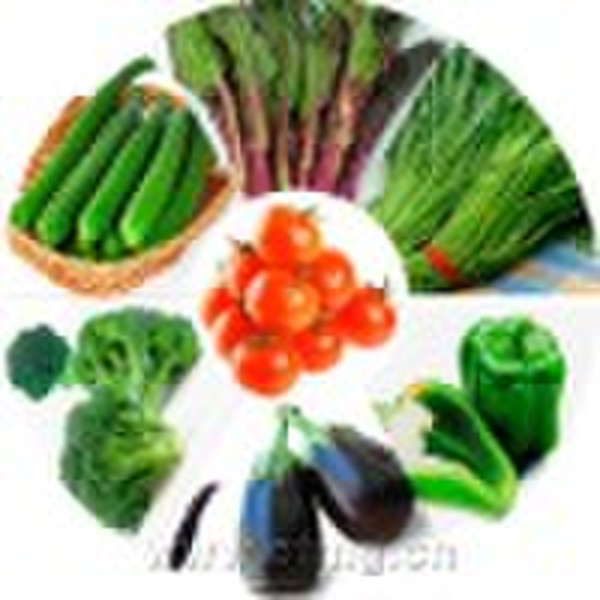 1#新鲜的蔬菜