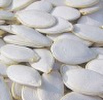 High Quality Snow White Pumpkin Seeds