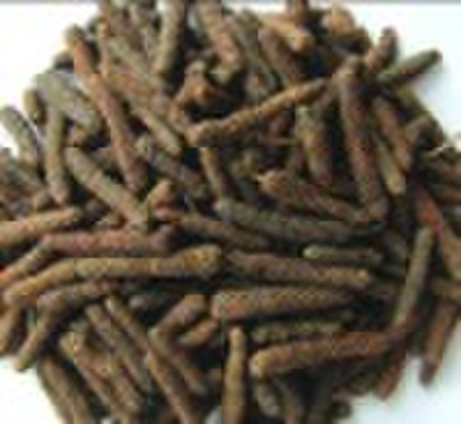 Fructus Piperis Longi