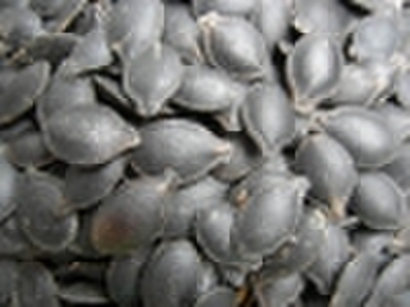 Black pumpkin  Seeds