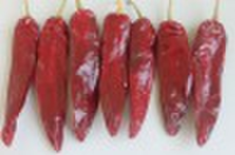 RED CHILI