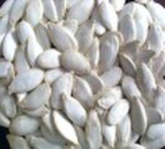 snow white pumpkin seeds