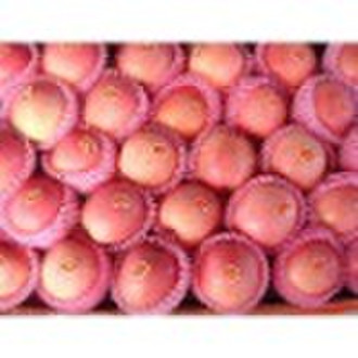 chinese red fuji apple