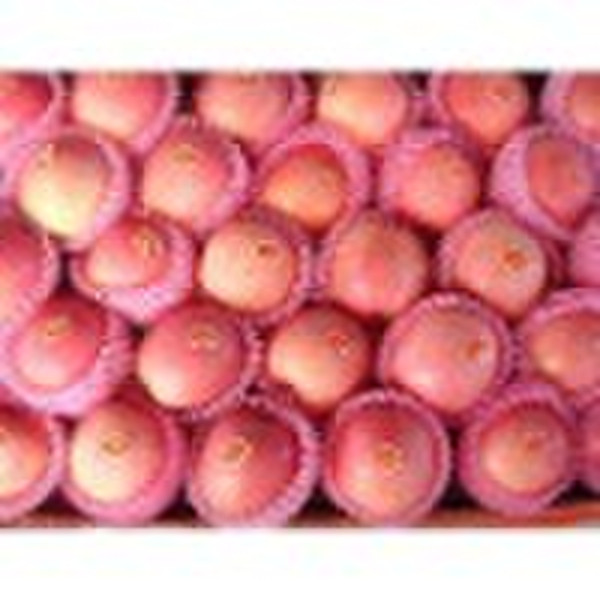 chinese red fuji apple