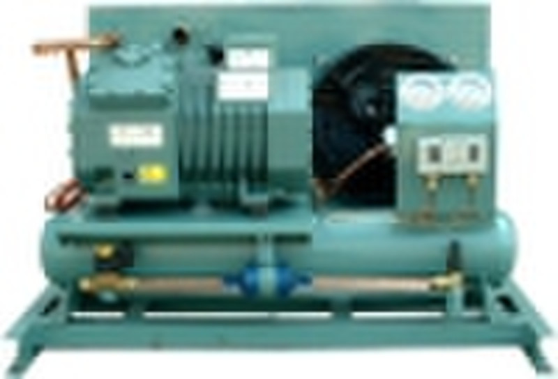 Bitzer Air Cooled Condensing Unit