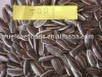 Raw sunflower seeds 5009