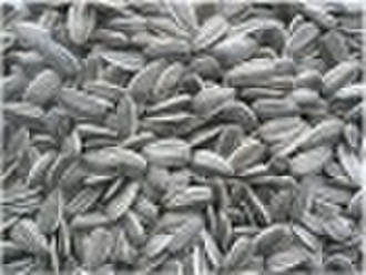 Sunflower seeds 909