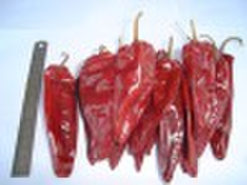 dried chilli