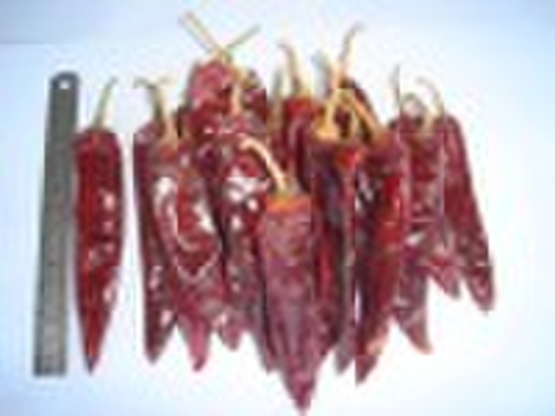 dried chilli