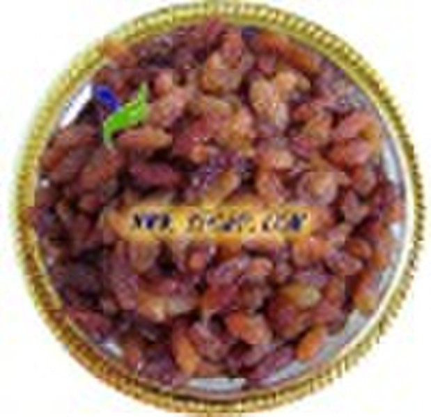 sultana raisin