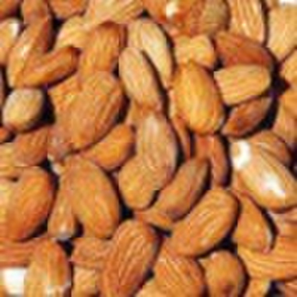 American type almond