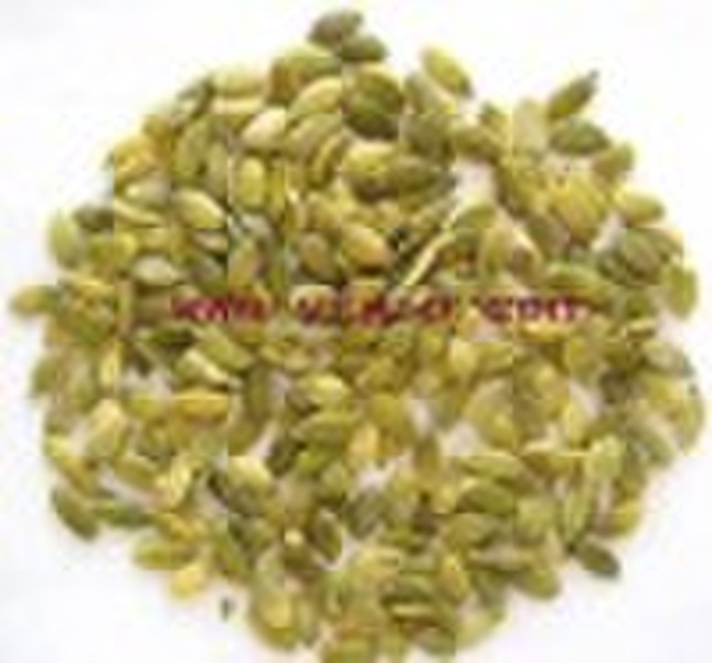 pumpkin seed