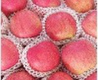 Fuji Apple