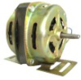 Washing Motor