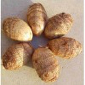 taro---2010 crop