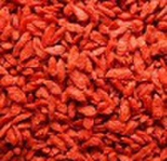 Goji Beeren