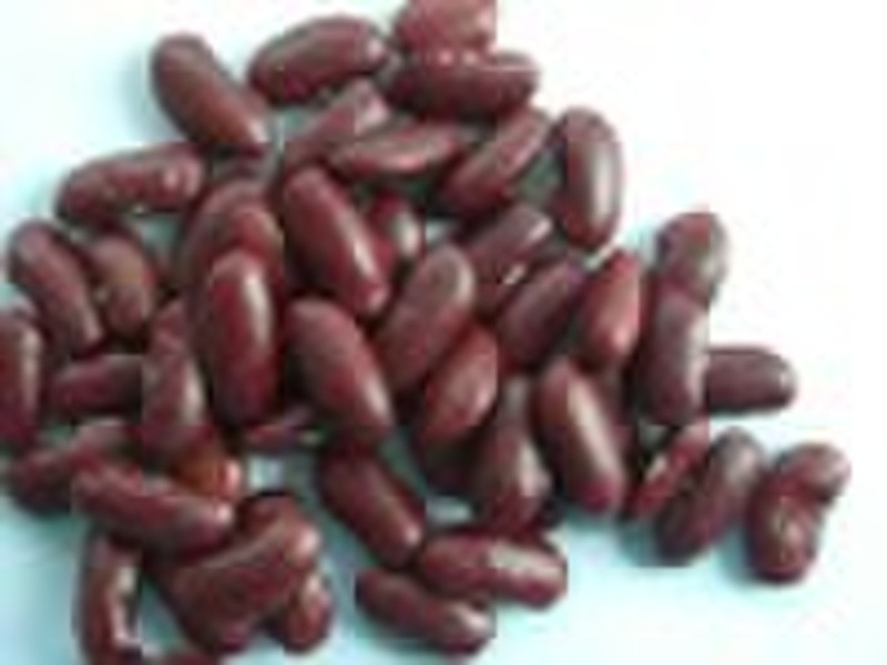 dark red kidney bean