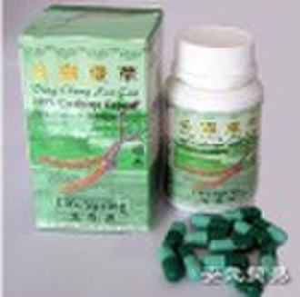 Cordyceps capsule