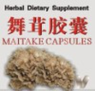 herbal dietary supplement maitake capsule