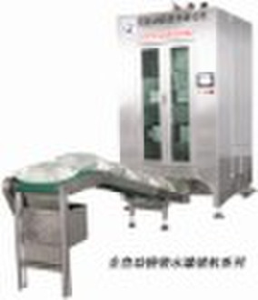 Bagged Water Filling Machine