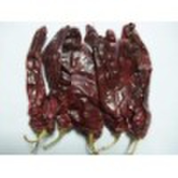 supply American red paprika