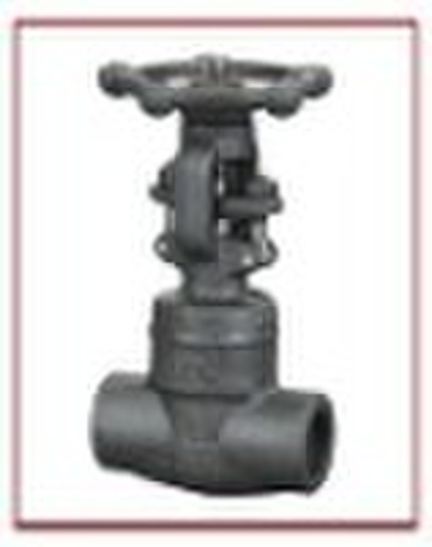 Forged Steel Gate Valve