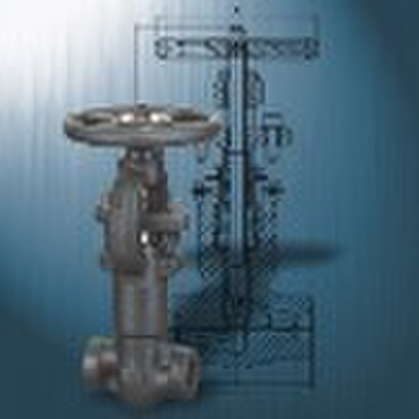 Forged Steel  Pressure Seal Valves